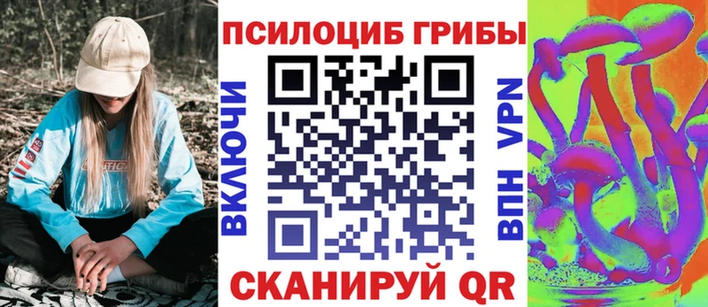 Купить закладки  Шебекино  Галлюциногенные грибы Magic Shrooms 