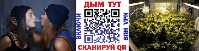 Бошки Шишки планчик Шебекино